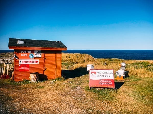 Newfoundland Canada - The Rock by geagle.miooashdv.tk