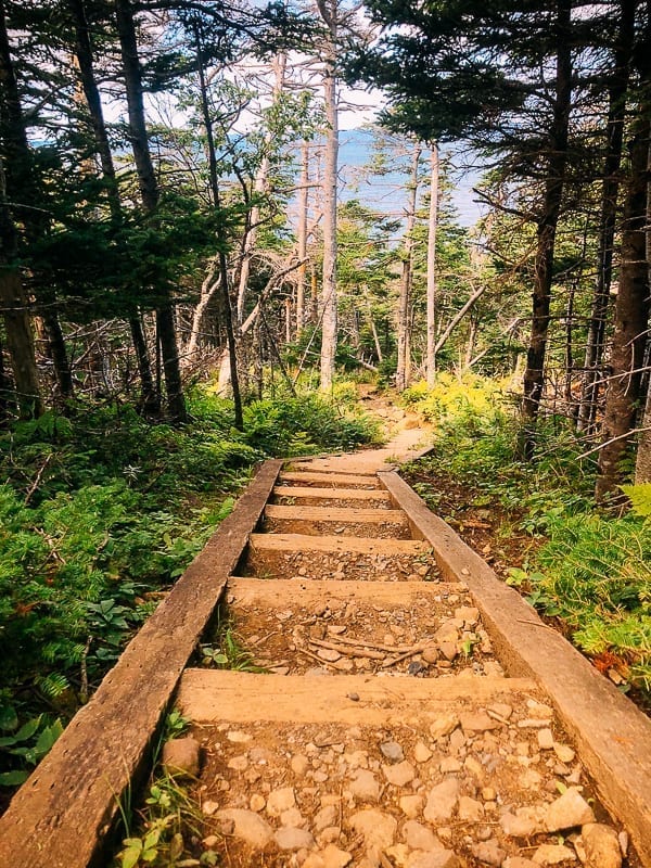 Newfoundland Canada - The Rock by geagle.miooashdv.tk