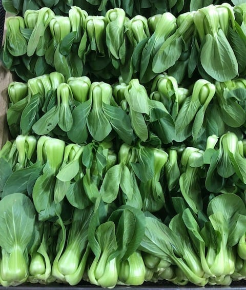 shanghai-baby-bok-choy by geagle.miooashdv.tk
