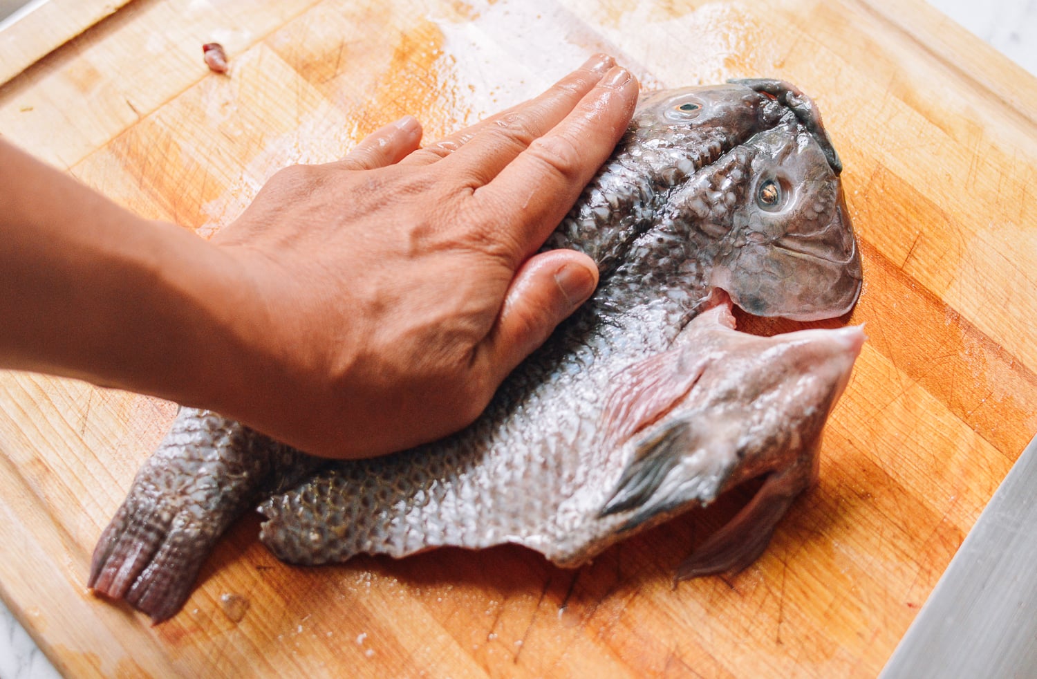 Steamed Tilapia: Hunan-Style Whole Fish, by geagle.miooashdv.tk