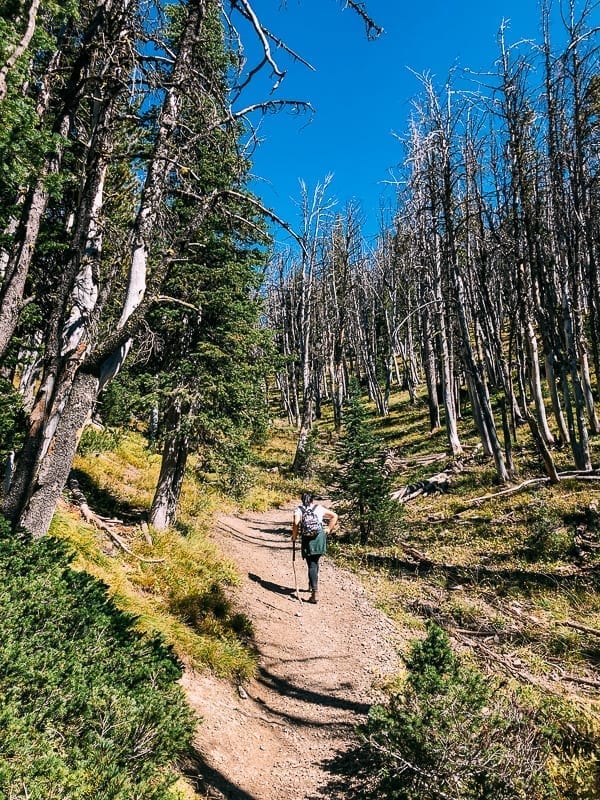 Avalanche Peak Hike, geagle.miooashdv.tk