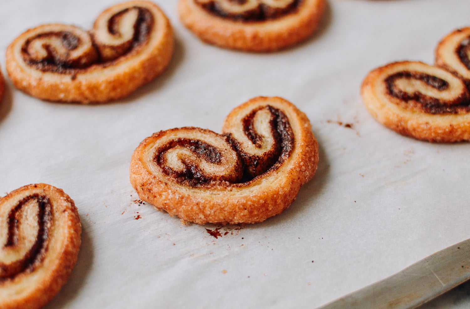 Chocolate Palmier, geagle.miooashdv.tk