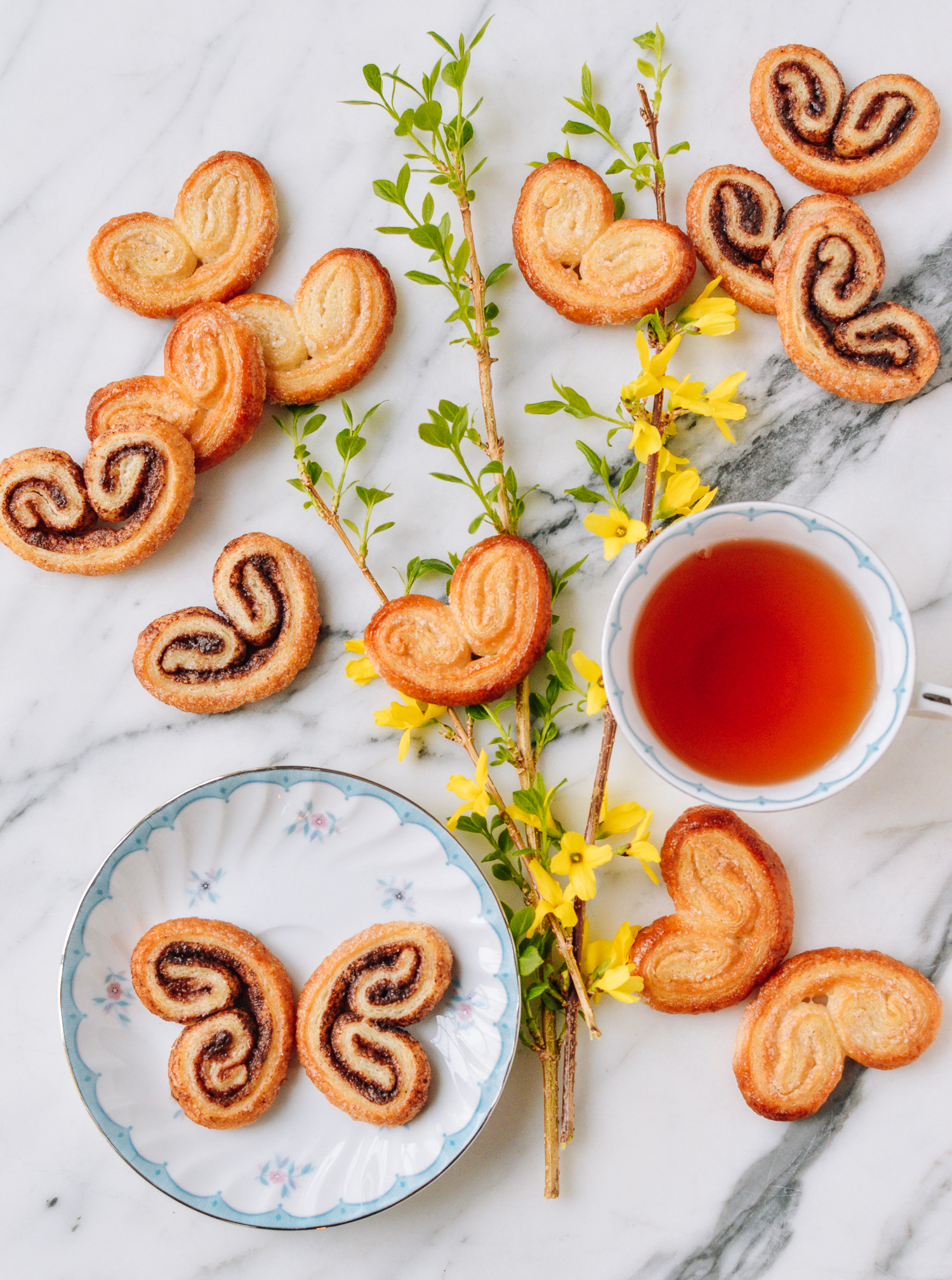Palmiers, geagle.miooashdv.tk