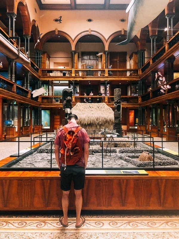 Bishop Museum Interior, geagle.miooashdv.tk