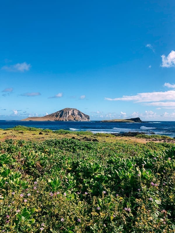 View from Makapu'u, geagle.miooashdv.tk