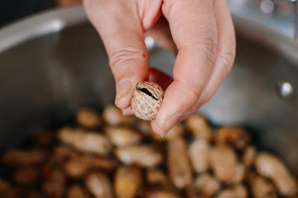 Cracking peanut shell open, geagle.miooashdv.tk