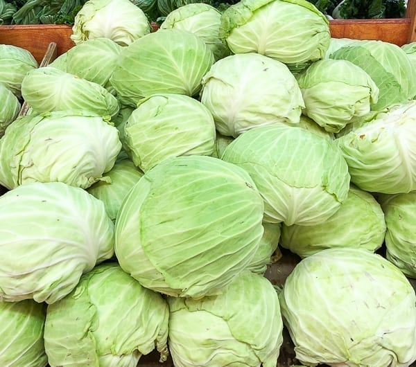 Taiwanese flat cabbage by geagle.miooashdv.tk