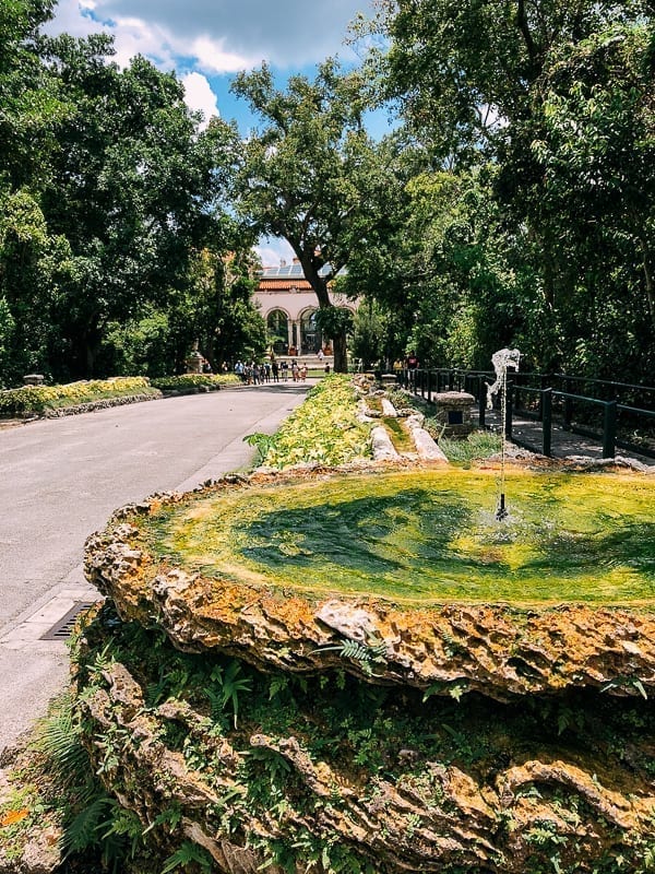 Vizcaya Museum Driveway, geagle.miooashdv.tk