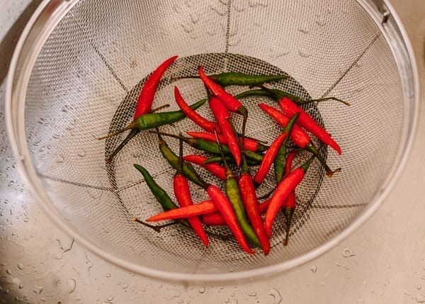 Chilies in colander, geagle.miooashdv.tk