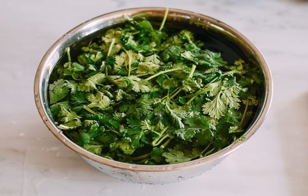 Soaking cilantro in water, geagle.miooashdv.tk