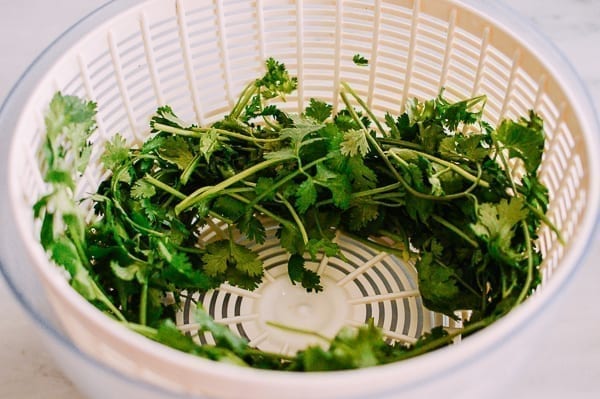 Cilantro in salad spinner, geagle.miooashdv.tk