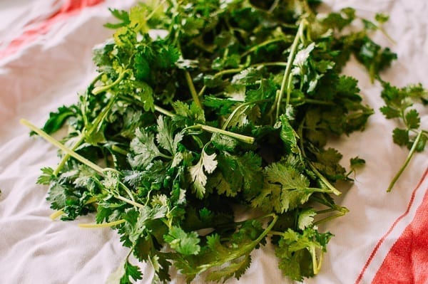 Drying cilantro with clean towel, geagle.miooashdv.tk