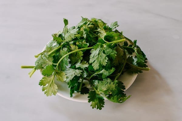 Clean cilantro on a plate, geagle.miooashdv.tk