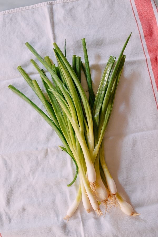 Drying Scallions, geagle.miooashdv.tk