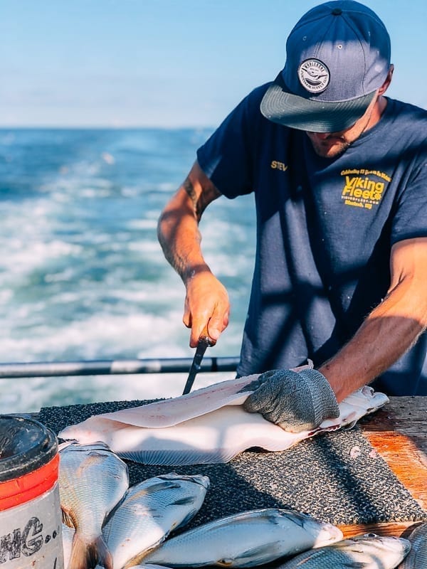 Filleting fluke on boat, geagle.miooashdv.tk