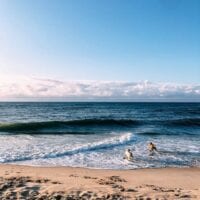 Dogs running on beach, geagle.miooashdv.tk