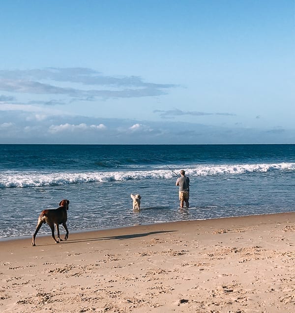 Surf fishing with dogs, geagle.miooashdv.tk