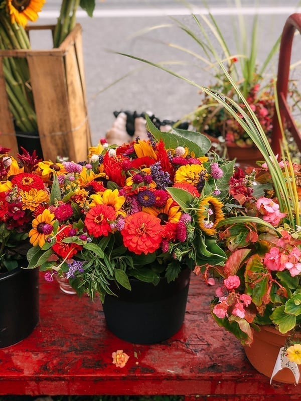 Hamptons Farm Stand Flowers, geagle.miooashdv.tk