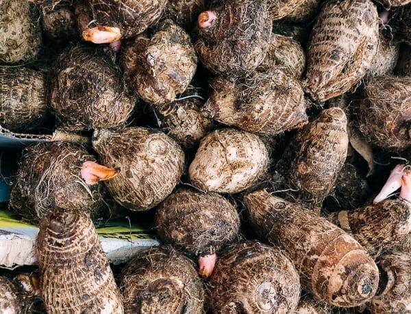 small taro, geagle.miooashdv.tk