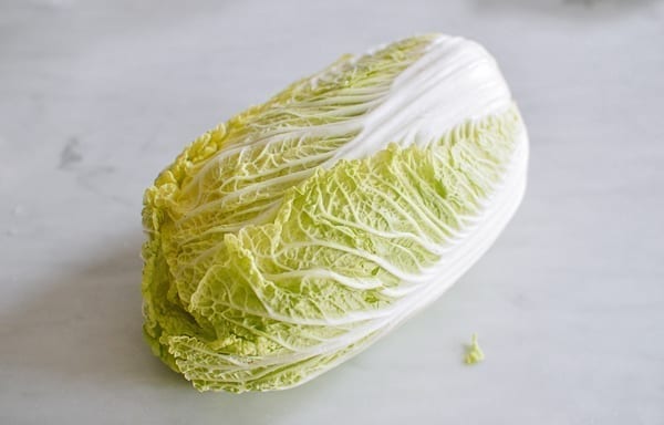 Napa cabbage, geagle.miooashdv.tk