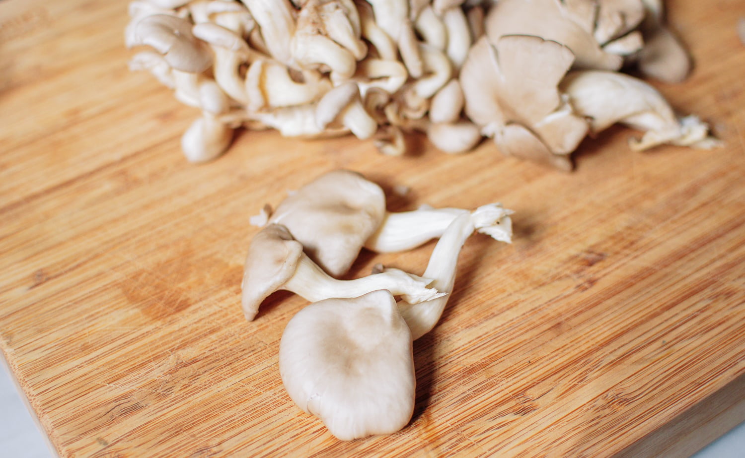 Oyster Mushrooms, geagle.miooashdv.tk