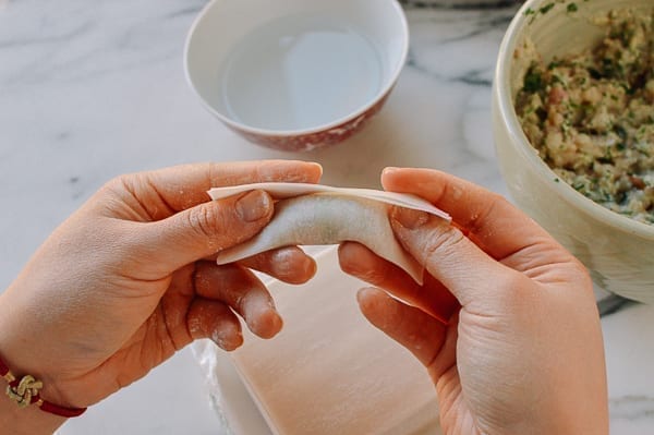 How to Fold a Wonton, geagle.miooashdv.tk