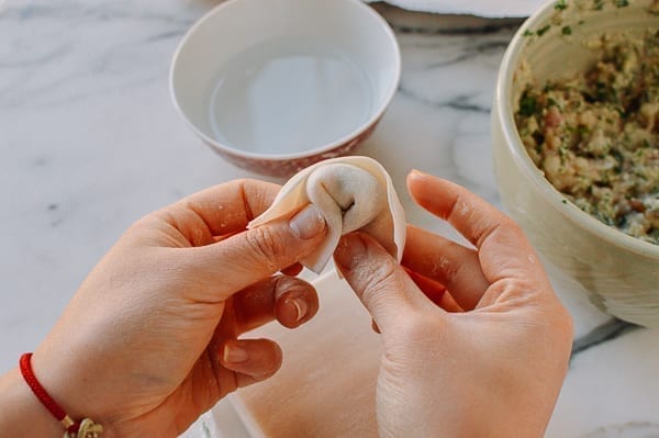 How to Fold a Wonton, geagle.miooashdv.tk