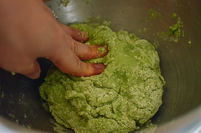 Pushing spinach noodle dough together with hands, geagle.miooashdv.tk