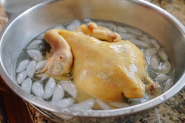 Poached chicken in ice water, geagle.miooashdv.tk