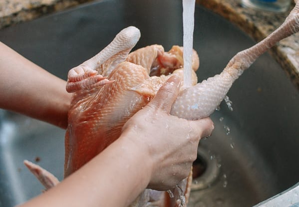 Rinsing chicken cavity, geagle.miooashdv.tk