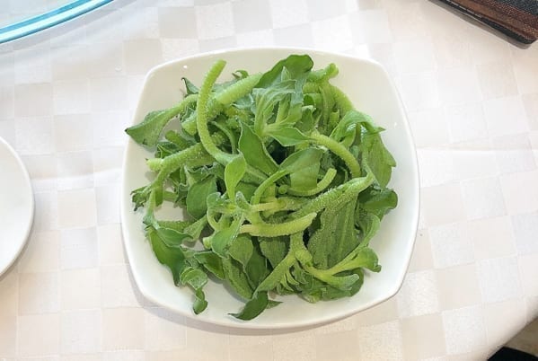 Bing Cao ice vegetable on a plate by geagle.miooashdv.tk