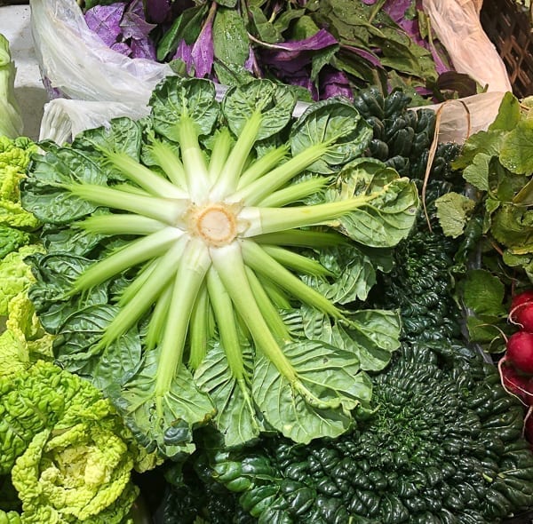 Bottom of Tatsoi leafy green Chinese vegetable by geagle.miooashdv.tk