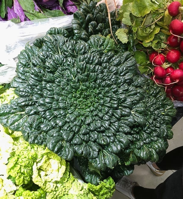 Tatsoi leafy green Chinese vegetable by geagle.miooashdv.tk