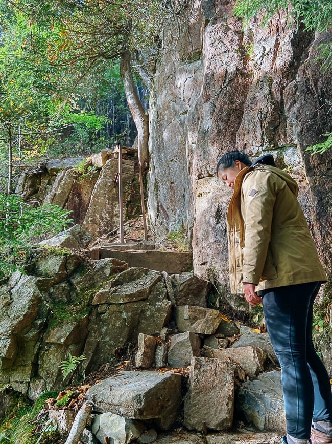 Beech Cliffs Trail, geagle.miooashdv.tk