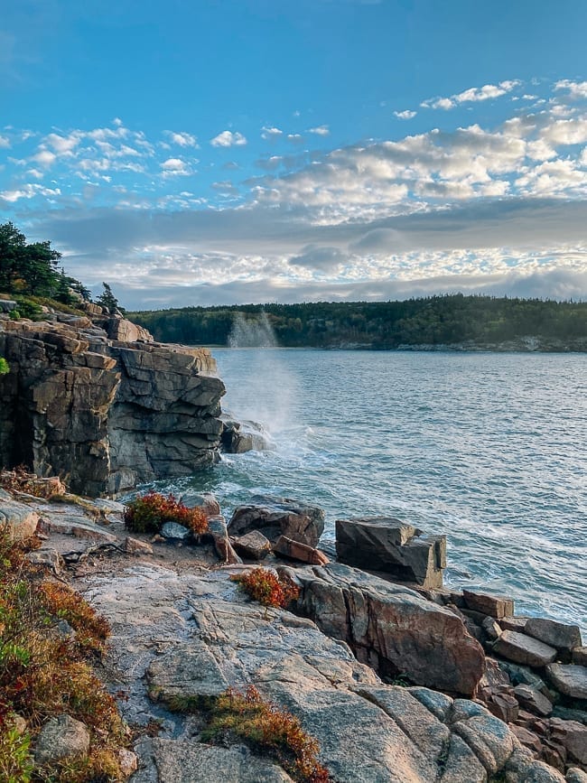 Shoreline along Ocean Path in Acadia, geagle.miooashdv.tk