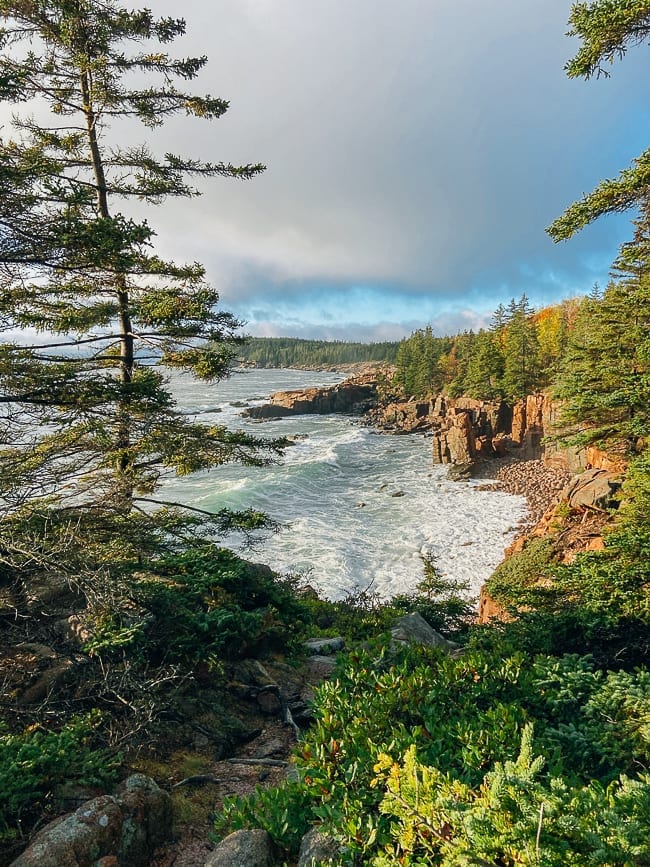 Shoreline along Ocean Path in Acadia, geagle.miooashdv.tk