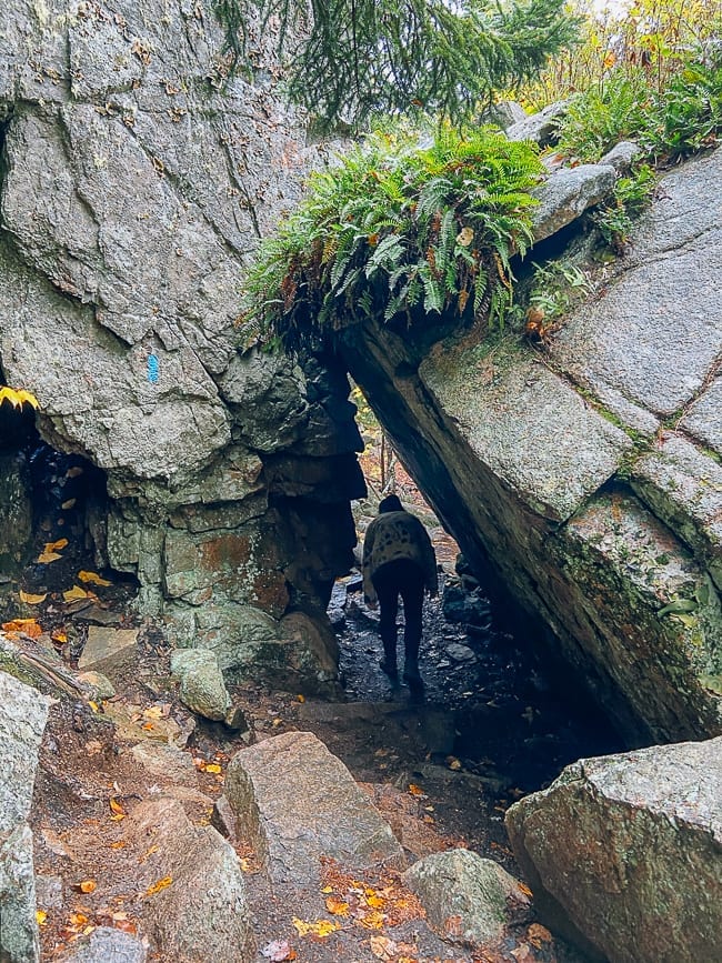 Cadillac Cliffs spur trail in Acadia National Park, geagle.miooashdv.tk