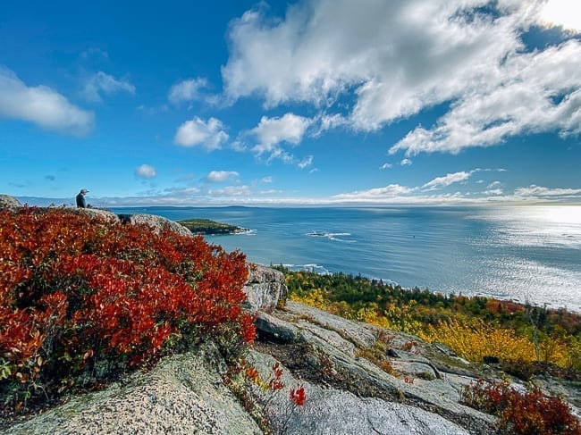 View from summit of Gorham Mountain, geagle.miooashdv.tk