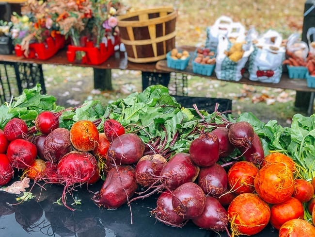 Beets at Porland Maine Farmer's Market, geagle.miooashdv.tk