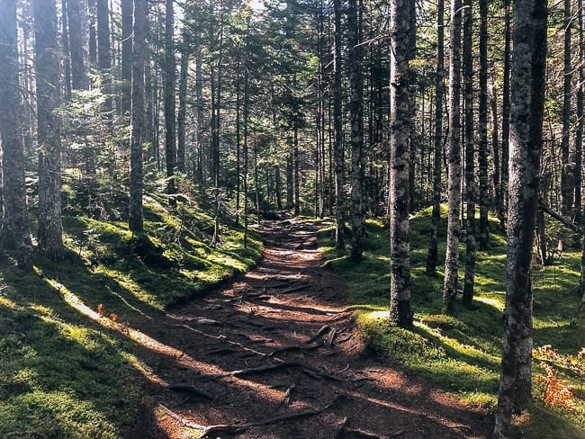 Hike through forest in Barred Island Preserve, geagle.miooashdv.tk