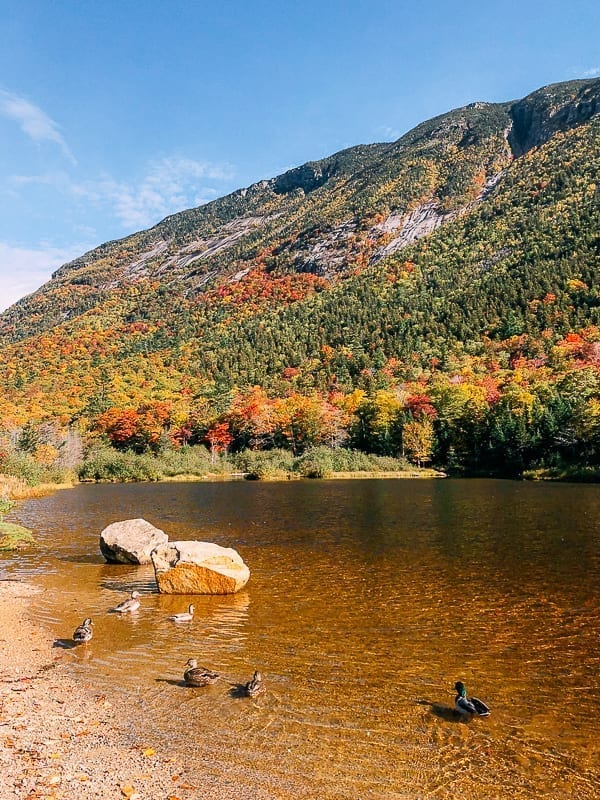 Saco River in Fall, geagle.miooashdv.tk
