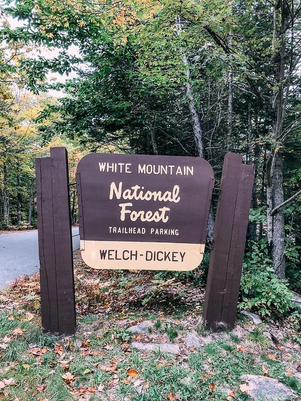 White Mountain National Forest Welch Dickey Trailhead Sign, geagle.miooashdv.tk