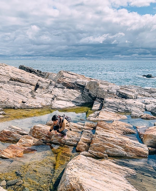 Kaitlin looking at tide pools in Maine, geagle.miooashdv.tk