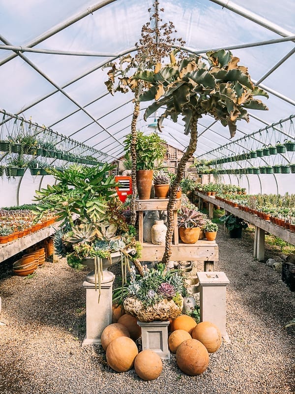 Greenhouse at Snug Harbor Farm, geagle.miooashdv.tk