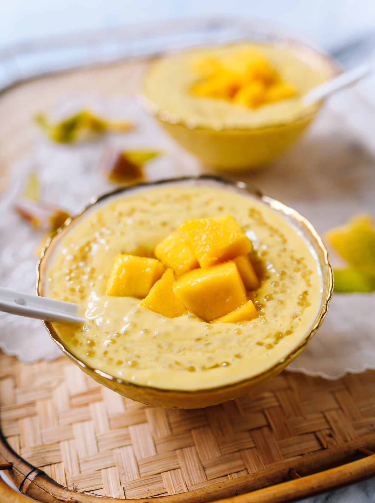 Mango Sago, geagle.miooashdv.tk