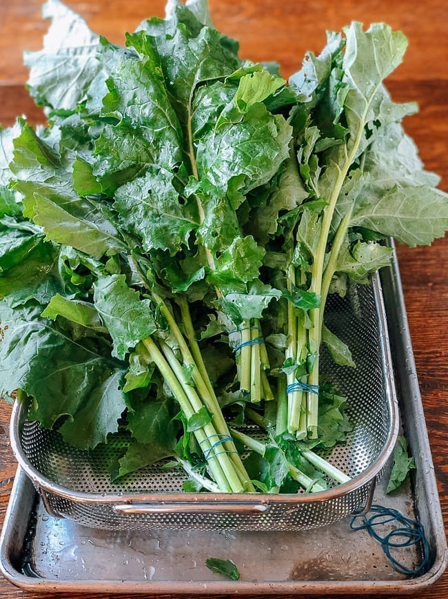 Greens tied into bundles, geagle.miooashdv.tk