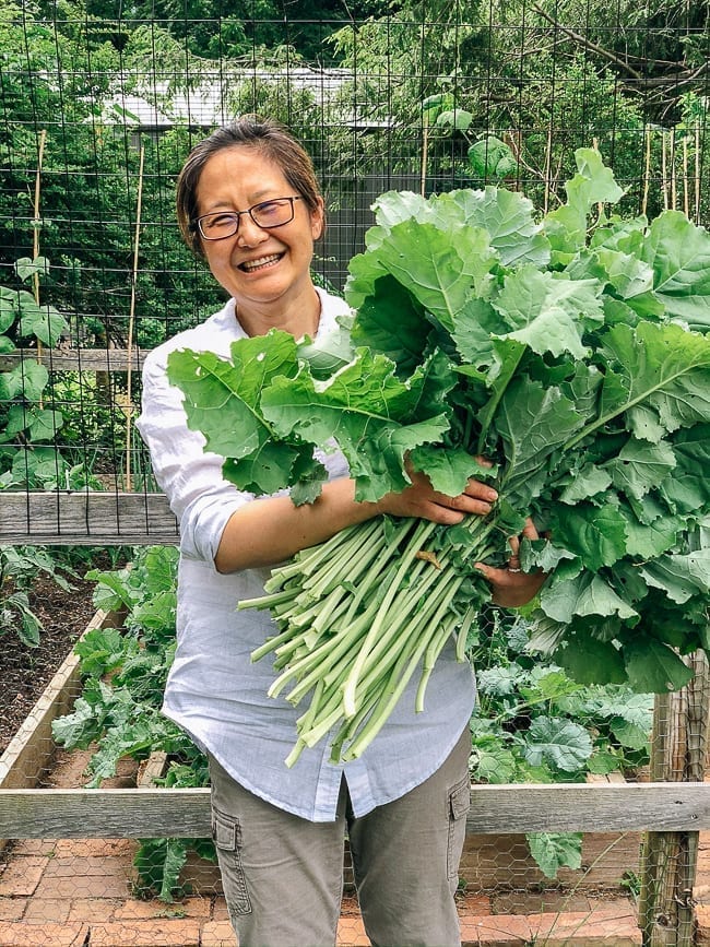 Judy with kale harvest, geagle.miooashdv.tk