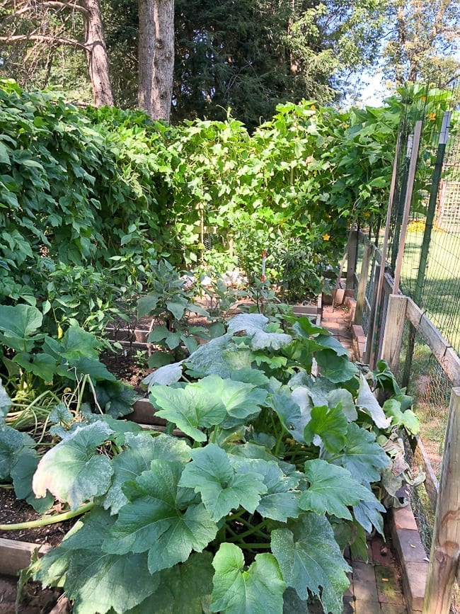The Woks of Life Garden Tour, geagle.miooashdv.tk