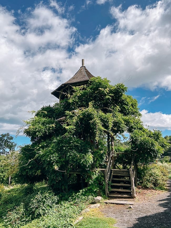Mohonk Mountain House Wisteria covered tree house, geagle.miooashdv.tk