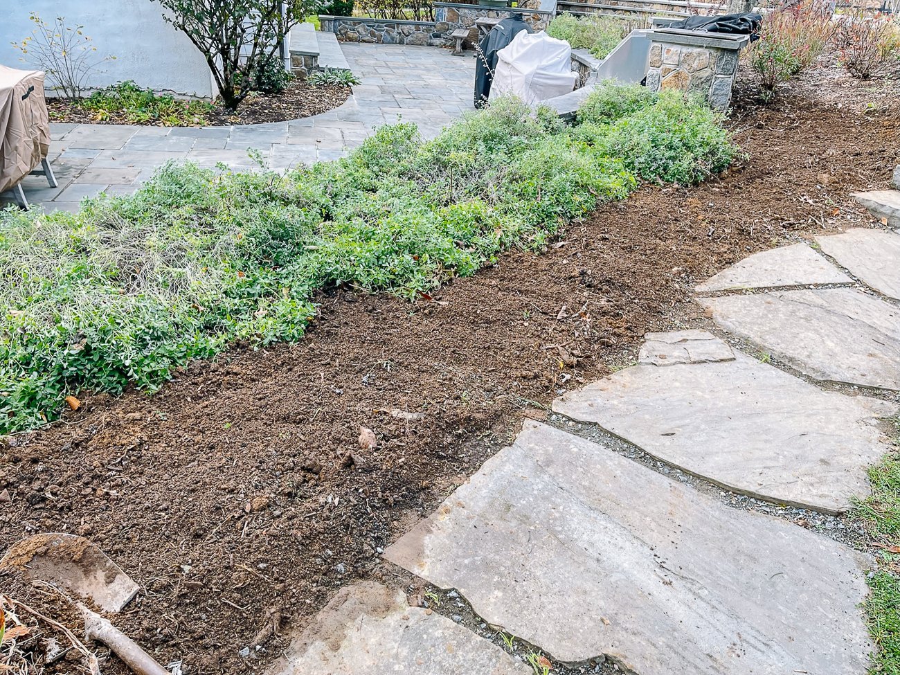 cleared bed